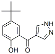 288844-48-4,4-(2-HYDROXY-5-TERT-BUTYLBENZOYL)PYRAZOLE