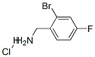 289038-14-8,2-BROMO-4-FLUOROBENZYLAMINE HYDROCHLORIDE