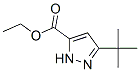294852-57-6,5-TERT-BUTYL-2H-PYRAZOLE-3-CARBOXYLIC ACID ETHYL ESTER