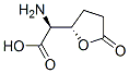 299208-57-4,2-Furanaceticacid,alpha-aminotetrahydro-5-oxo-,(alphaS,2S)-(9CI)