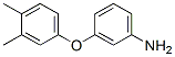 300668-53-5,3-(3,4-DIMETHYL-PHENOXY)-PHENYLAMINE