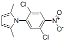302901-02-6,1-(2,5-DICHLORO-4-NITROPHENYL)-2,5-DIMETHYL-1H-PYRROLE