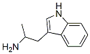 304-54-1,(+/-)-alpha-methyltryptamine