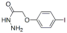 304462-49-5,N-AMINO-2-(4-IODOPHENOXY)ETHANAMIDE
