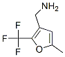 306935-05-7,[5-METHYL-2-(TRIFLUOROMETHYL)-3-FURYL]METHYLAMINE