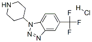 306935-37-5,1-PIPERIDIN-4-YL-5-(TRIFLUOROMETHYL)-1H-1,2,3-BENZOTRIAZOLE HYDROCHLORIDE