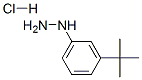 306937-27-9,1-[3-(TERT-BUTYL)PHENYL]HYDRAZINE HYDROCHLORIDE
