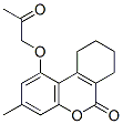 307550-58-9,CHEMBRDG-BB 6165544