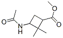 308287-84-5,Cyclobutanecarboxylic acid, 3-(acetylamino)-2,2-dimethyl-, methyl ester,