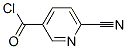 313350-44-6,3-Pyridinecarbonyl chloride, 6-cyano- (9CI)