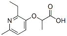 313370-20-6,Propanoic acid, 2-[(2-ethyl-6-methyl-3-pyridinyl)oxy]- (9CI)