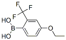 313545-39-0,4-ETHOXY-2-(TRIFLUOROMETHYL)BENZENEBORONIC ACID
