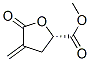 314264-83-0,2-Furancarboxylicacid,tetrahydro-2-methyl-4-methylene-5-oxo-,(2S)-(9CI)