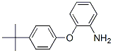 3169-73-1,2-[4-(TERT-BUTYL)PHENOXY]ANILINE