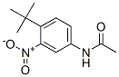 31951-11-8,N-(3-nitro-4-tert-butyl-phenyl)acetamide