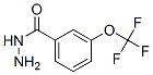 321195-88-4,3-(TRIFLUOROMETHOXY)BENZHYDRAZIDE