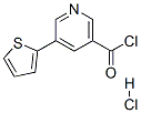 321309-36-8,5-(2-THIENYL)NICOTINOYL CHLORIDE HYDROCHLORIDE