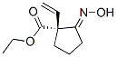 335260-40-7,Cyclopentanecarboxylic acid, 1-ethenyl-2-(hydroxyimino)-, ethyl ester, (1R)-