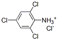 33663-50-2,2,4,6-trichloroanilinium chloride
