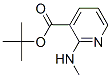 338990-70-8,3-Pyridinecarboxylicacid,2-(methylamino)-,1,1-dimethylethylester(9CI)