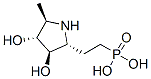 339186-29-7,Phosphonic acid, [2-[(2R,3R,4R,5R)-3,4-dihydroxy-5-methyl-2-pyrrolidinyl]ethyl]- (9CI)