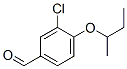 339546-96-2,CHEMBRDG-BB 6457595