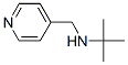 341008-29-5,N-(tert-butyl)-N-(pyridin-4-ylmethyl)amine
