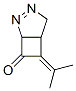 344747-77-9,2,3-Diazabicyclo[3.2.0]hept-2-en-7-one,  6-(1-methylethylidene)-