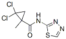 345314-55-8,Cyclopropanecarboxamide, 2,2-dichloro-1-methyl-N-1,3,4-thiadiazol-2-yl- (9CI)