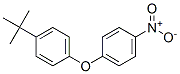 34859-82-0,4-NITRO-4'-T-BUTYL DIPHENYL ETHER