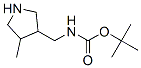 351369-25-0,Carbamic acid, [(4-methyl-3-pyrrolidinyl)methyl]-, 1,1-dimethylethyl ester (9CI)