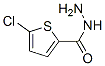 351983-31-8,5-CHLORO-2-THIOPHENECARBOXYLIC ACID HYDRAZIDE