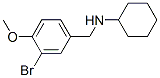 355381-65-6,CHEMBRDG-BB 5574958
