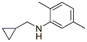 356539-50-9,Benzenamine, N-(cyclopropylmethyl)-2,5-dimethyl- (9CI)