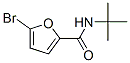 356562-19-1,5-bromo-N-(tert-butyl)-2-furamide