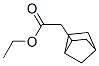 35658-04-9,ethyl bicyclo[2.2.1]hept-2-ylacetate
