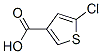 36157-42-3,5-CHLOROTHIOPHENE-3-CARBOXYLIC ACID