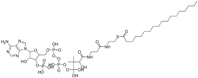 362-66-3,STEAROYL COENZYME A