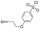 362476-05-9,Benzenesulfonyl chloride, 4-(2-cyanoethoxy)- (9CI)