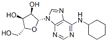 36396-99-3,N6-CYCLOHEXYLADENOSINE
