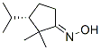 365978-50-3,Cyclopentanone, 2,2-dimethyl-3-(1-methylethyl)-, oxime, (1E,3S)- (9CI)