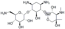 36889-15-3,GENTAMICIN B
