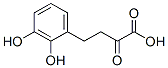 372510-78-6,Benzenebutanoic acid, 2,3-dihydroxy-alpha-oxo- (9CI)