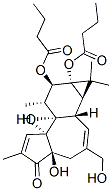 PHORBOL 12,13-DIBUTYRATE 37558-16-0,PHORBOL 12,13-DIBUTYRATE