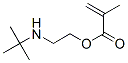3775-90-4,2-(TERT-BUTYLAMINO)ETHYL METHACRYLATE