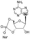 37839-81-9,CAMP SODIUM SALT