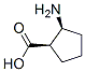 37910-65-9,CIS-2-AMINO-1-CYCLOPENTANECARBOXYLIC ACID