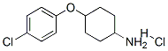 380828-77-3,4-(4-CHLORO-PHENOXY)-CYCLOHEXYLAMINE HYDROCHLORIDE