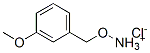 3839-39-2,1-[(AMMONIOOXY)METHYL]-3-METHOXYBENZENE CHLORIDE