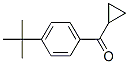 38675-79-5,4-tert-Butylphenyl cyclopropyl ketone